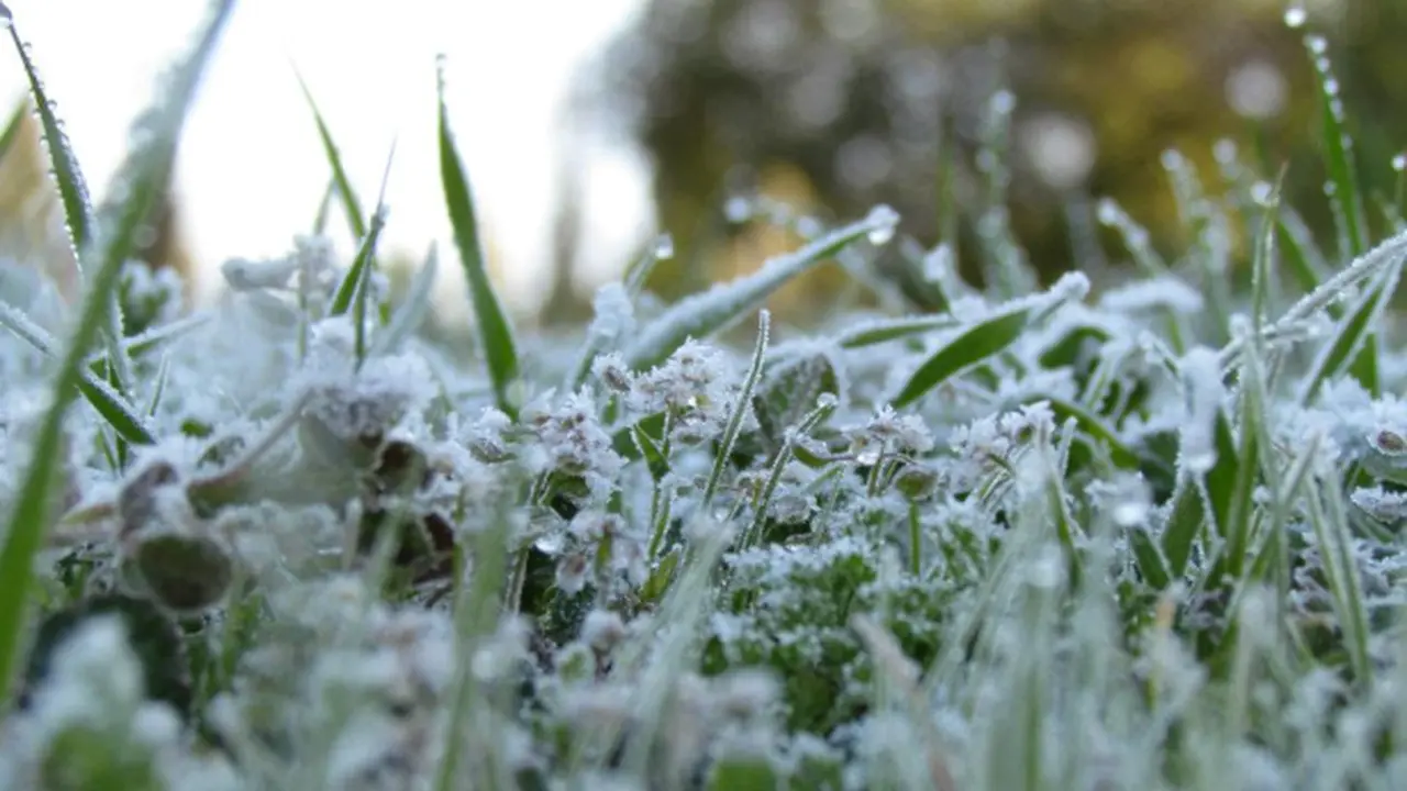 توقعات طقس الاثنين تشير إلى استمرار الأجواء الباردة خلال فترتي الصباح والليل